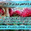 دانلود طرح توجیهی پرورش قارچ / دانلود طرح توجیهی پرورش قارچ دارویی / دانلود طرح توجیهی پرورش قارچ گانودرما